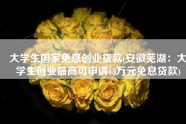 大学生国家免息创业贷款(安徽芜湖：大学生创业最高可申请15万元免息贷款)