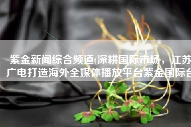 紫金新闻综合频道(深耕国际市场，江苏广电打造海外全媒体播放平台紫金国际台)