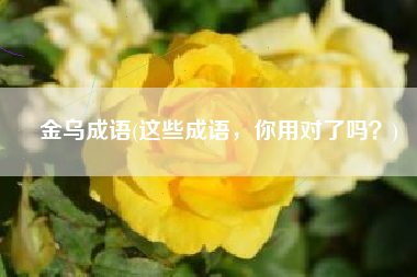 金乌成语(这些成语，你用对了吗？)