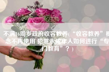 不满16周岁政府收容教养(“收容教养”概念不再使用 犯罪未成年人如何进行“专门教育”？)