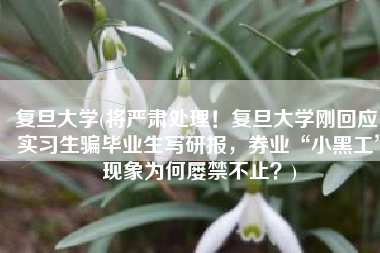 复旦大学(将严肃处理！复旦大学刚回应！实习生骗毕业生写研报，券业“小黑工”现象为何屡禁不止？)