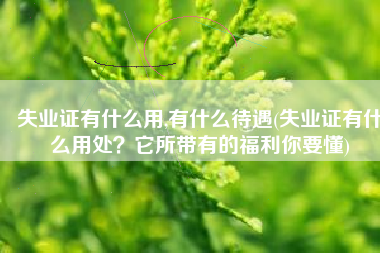 失业证有什么用,有什么待遇(失业证有什么用处？它所带有的福利你要懂)