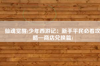 仙魂觉醒(少年西游记：新手平民必看攻略—商店兑换篇)
