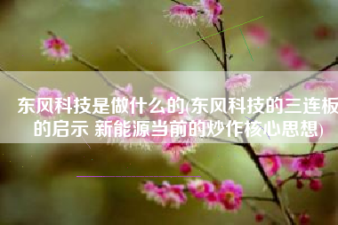 东风科技是做什么的(东风科技的三连板的启示 新能源当前的炒作核心思想)