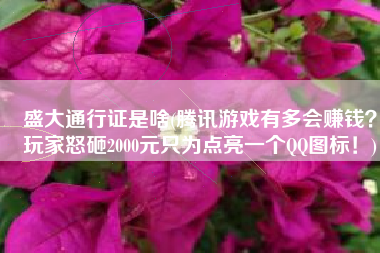 盛大通行证是啥(腾讯游戏有多会赚钱？玩家怒砸2000元只为点亮一个QQ图标！)
