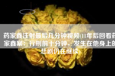 药家鑫注射最后几分钟视频(11年后回看药家鑫案：行刑前十分钟，发生在他身上的悲剧仍在继续)