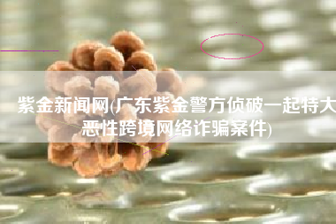紫金新闻网(广东紫金警方侦破一起特大恶性跨境网络诈骗案件)