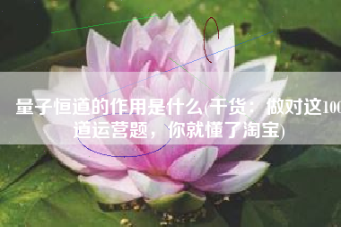 量子恒道的作用是什么(干货：做对这100道运营题，你就懂了淘宝)