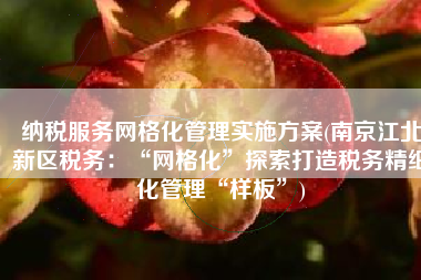 纳税服务网格化管理实施方案(南京江北新区税务：“网格化”探索打造税务精细化管理“样板”)