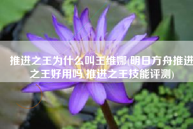 推进之王为什么叫王维娜(明日方舟推进之王好用吗 推进之王技能评测)