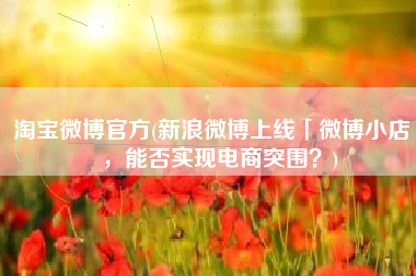 淘宝微博官方(新浪微博上线「微博小店」，能否实现电商突围？)