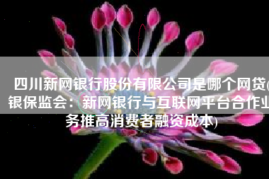 四川新网银行股份有限公司是哪个网贷(银保监会：新网银行与互联网平台合作业务推高消费者融资成本)