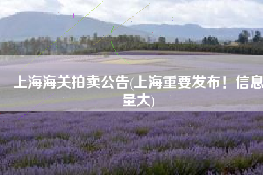 上海海关拍卖公告(上海重要发布！信息量大)