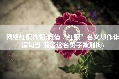 网络红娘诈骗(假借“红娘”名义却作诈骗勾当 鹿邑这名男子被刑拘)