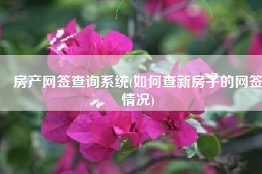 房产网签查询系统(如何查新房子的网签情况)