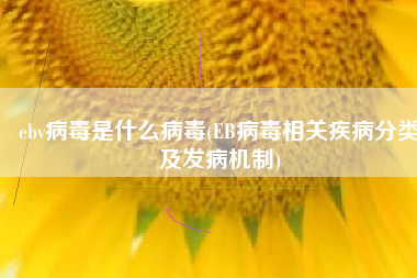 ebv病毒是什么病毒(EB病毒相关疾病分类及发病机制)