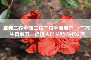 单独二孩全面二孩三孩全面放开(“三孩”生育放开：促进人口长期均衡发展)