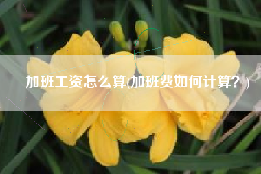 加班工资怎么算(加班费如何计算？)