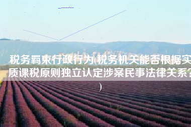 税务羁束行政行为(税务机关能否根据实质课税原则独立认定涉案民事法律关系？)