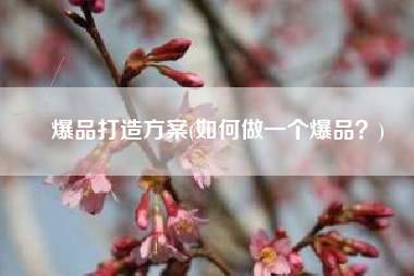爆品打造方案(如何做一个爆品？)