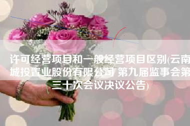 许可经营项目和一般经营项目区别(云南城投置业股份有限公司 第九届监事会第三十次会议决议公告)