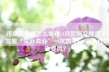 违章买分是怎么处理(4月起新交规来了，驾照“买分卖分”一次罚5万，家人代扣也要罚？)