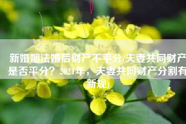 新婚姻法婚后财产不平分(夫妻共同财产是否平分？2021年，夫妻共同财产分割有新规)