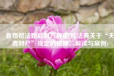 新婚姻法婚后财产规定(民法典关于“夫妻财产”规定的梳理、解读与案例)