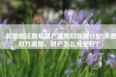 新婚姻法婚后财产离婚后如何分配(夫妻双方离婚，财产怎么分配好？)
