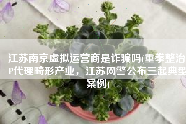 江苏南京虚拟运营商是诈骗吗(重拳整治IP代理畸形产业，江苏网警公布三起典型案例)