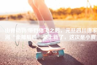 山脊动物(带野猪飞之后，元旦四川唐家河“金雕航班”又上新了，这次是小麂)