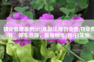 物业管理条例2021年新法规物业费(物业费升、停车费降，新规明年1月1日实施)