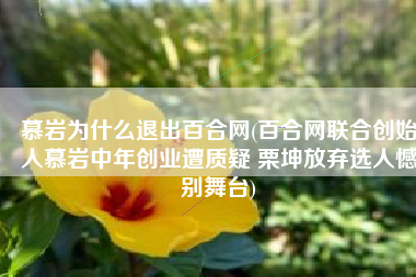 慕岩为什么退出百合网(百合网联合创始人慕岩中年创业遭质疑 栗坤放弃选人憾别舞台)