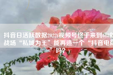 抖音日活跃数据2022(视频号终于来到618的战场“私域为王”能再造一个“抖音电商”吗？)
