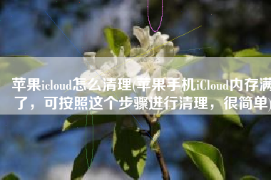 苹果icloud怎么清理(苹果手机iCloud内存满了，可按照这个步骤进行清理，很简单)