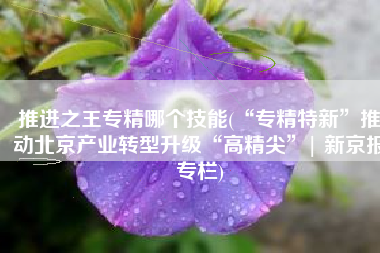 推进之王专精哪个技能(“专精特新”推动北京产业转型升级“高精尖”| 新京报专栏)