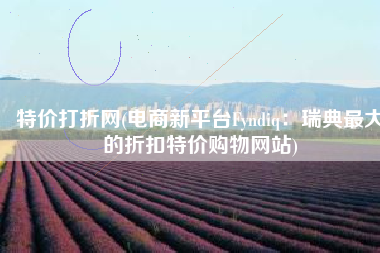 特价打折网(电商新平台Fyndiq：瑞典最大的折扣特价购物网站)