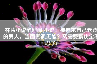 林涛小说笔趣阁(小说：被追求自己老婆的男人，当面嘲讽无能？窝囊赘婿决定不忍了)