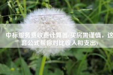 中标服务费收费计算器(买房需谨慎，这套公式帮你对比收入和支出)