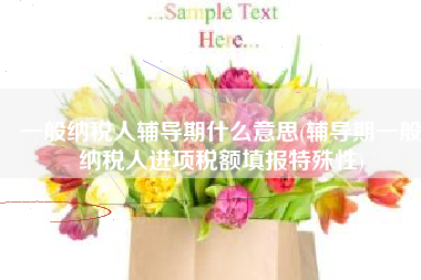 一般纳税人辅导期什么意思(辅导期一般纳税人进项税额填报特殊性)