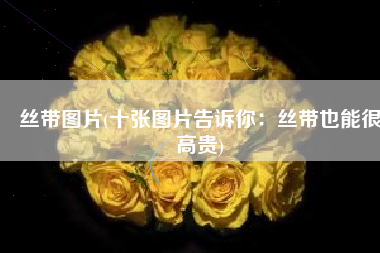 丝带图片(十张图片告诉你：丝带也能很高贵)