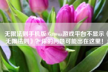 无限法则手机版(Garena游戏平台不显示《无限法则》？你的问题可能出在这里！)