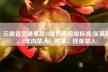 云南省交通事故10级伤残赔偿标准(张某某，3年内禁入！郑某，终身禁入)