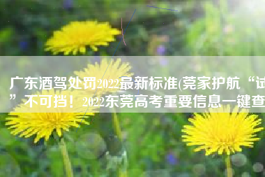 广东酒驾处罚2022最新标准(莞家护航“试”不可挡！2022东莞高考重要信息一键查)