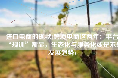 进口电商的现状(跨境电商这两年：平台“规训”渐显，生态化与服务化或是未来发展趋势)
