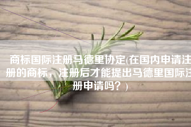 商标国际注册马德里协定(在国内申请注册的商标，注册后才能提出马德里国际注册申请吗？)