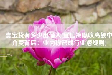 壹宝贷有多少出借人(宜信被曝收高额中介费背后：业内称已成行业潜规则)