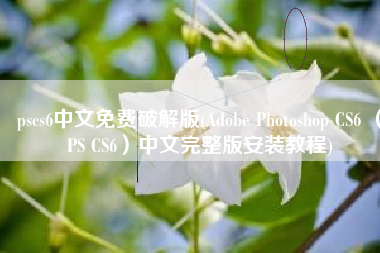 pscs6中文免费破解版(Adobe Photoshop CS6 （PS CS6）中文完整版安装教程)