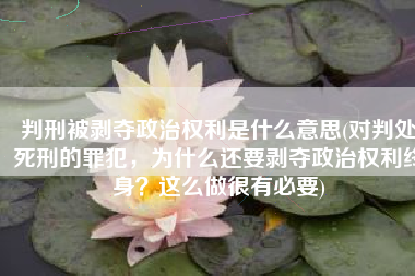 判刑被剥夺政治权利是什么意思(对判处死刑的罪犯，为什么还要剥夺政治权利终身？这么做很有必要)