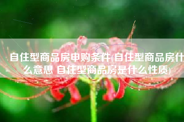 自住型商品房申购条件(自住型商品房什么意思 自住型商品房是什么性质)